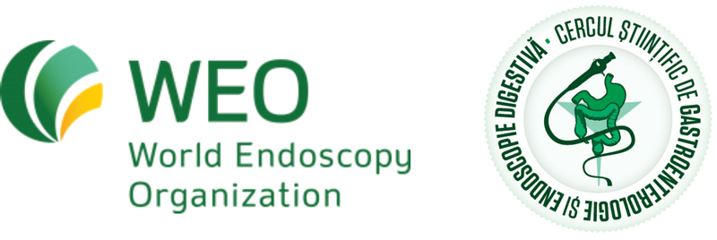 Core Competency  in GI endoscopy: Colorectal Cancer  360°